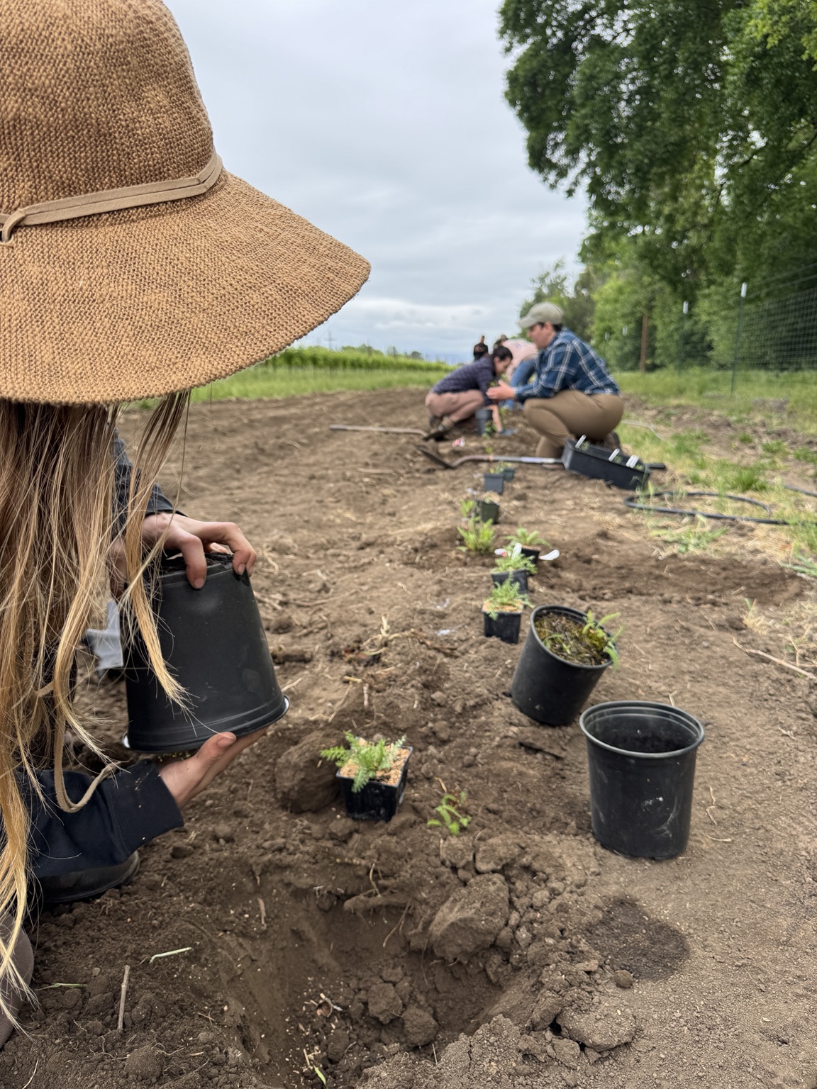 People planting together